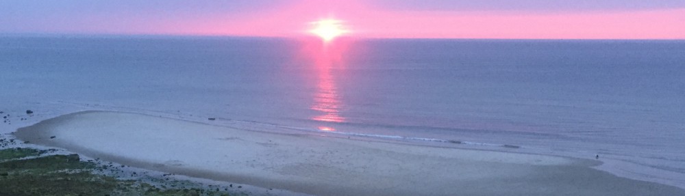 peonies paperbacks & pearls